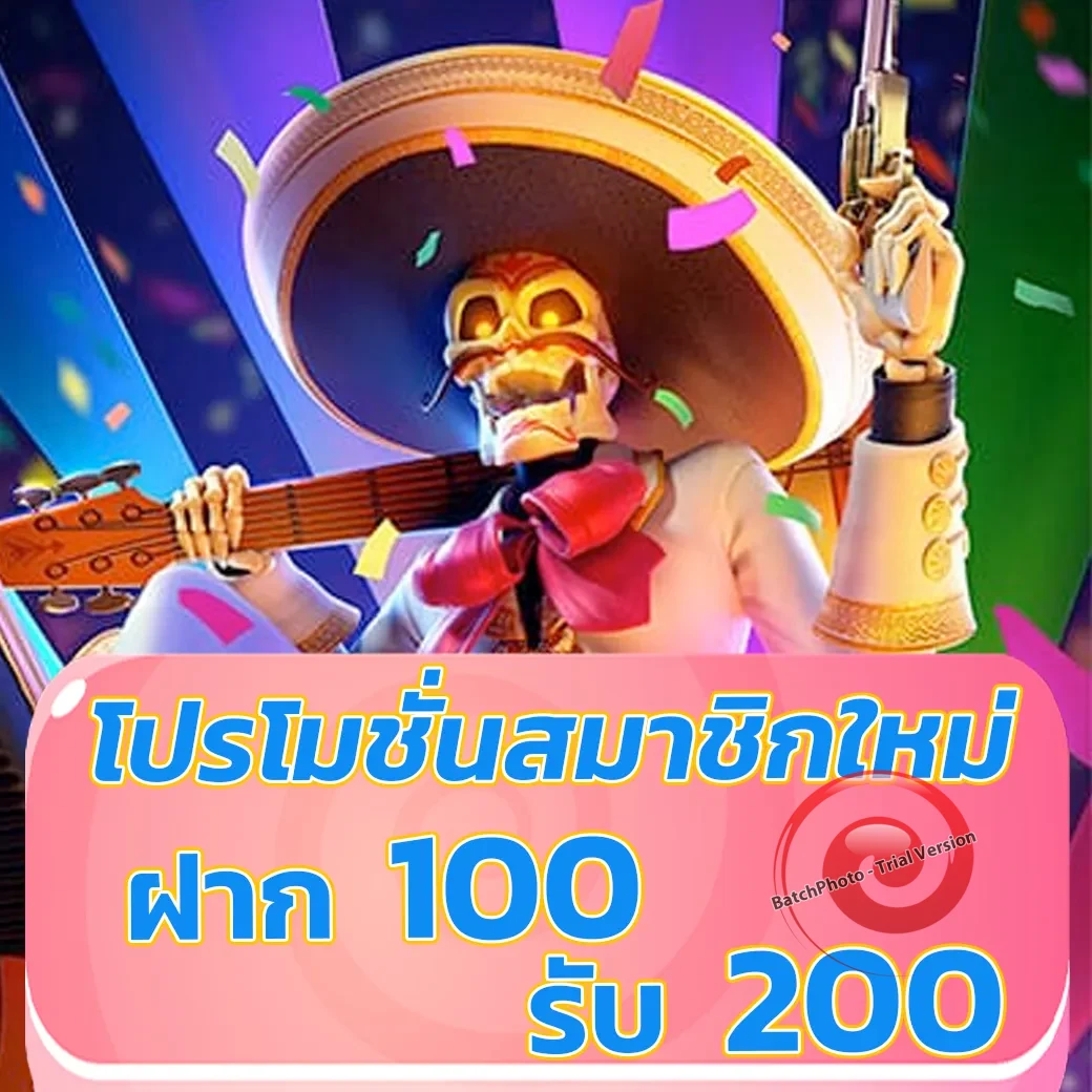 maxwin 99